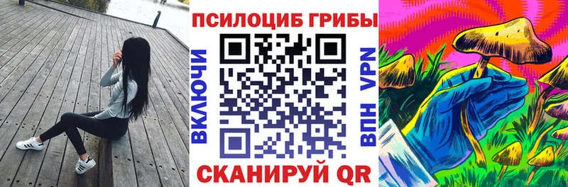 Псилоцибиновые грибы Psilocybe  Батайск 